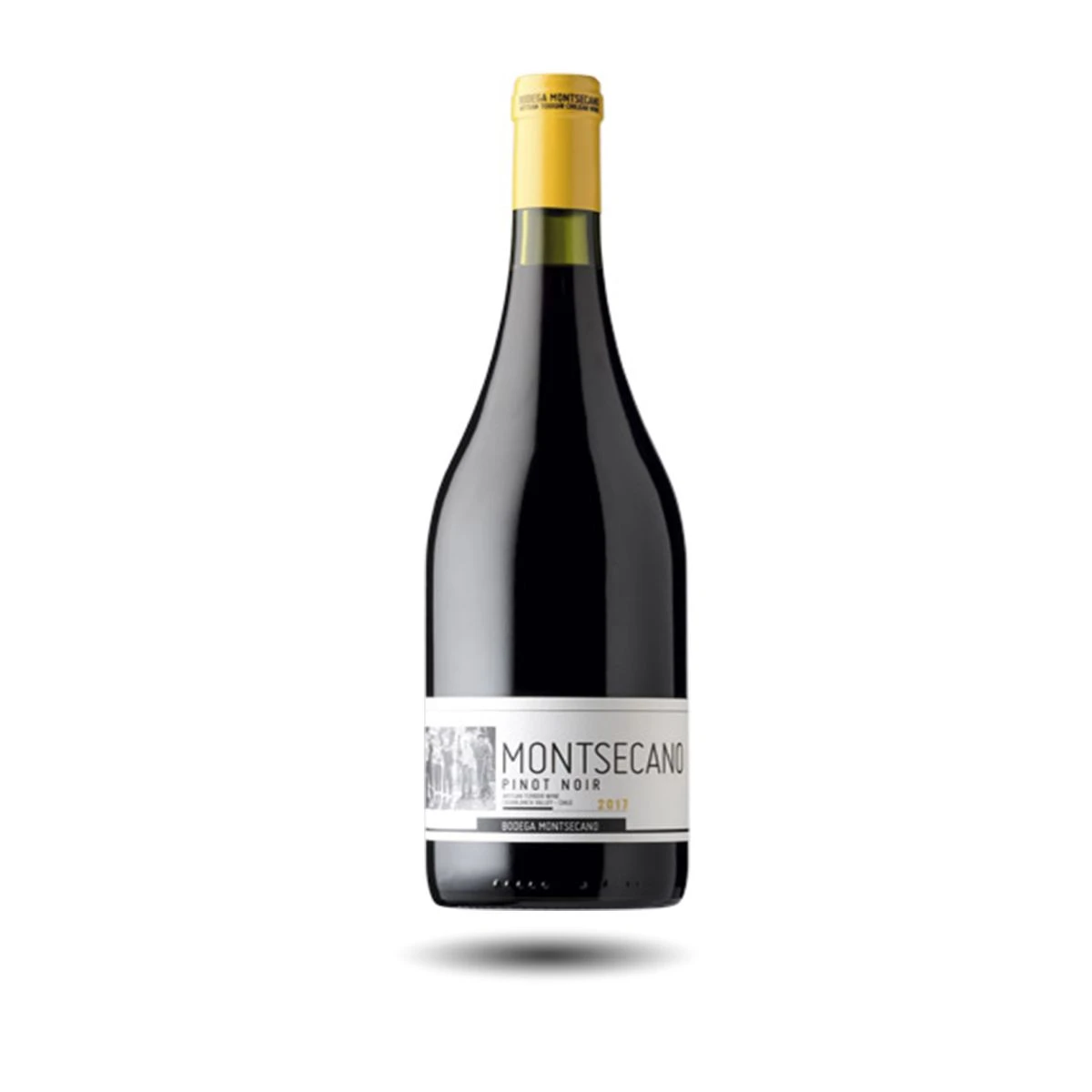 Bodega Montsecano - Montsecano, Magnum, Pinot Noir, 2020