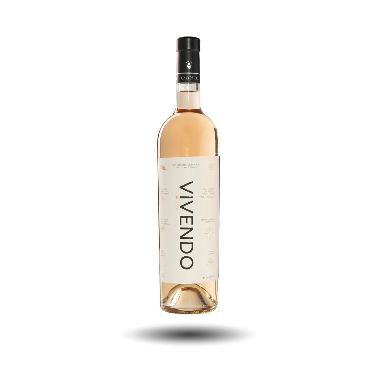 Calyptra - Vivendo, Rosado, 2020