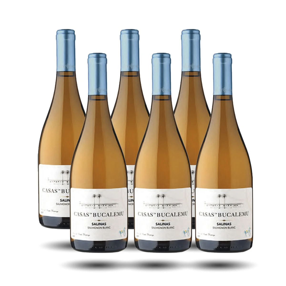 Casas de Bucalemu - Salinas, Sauvignon Blanc, 2022