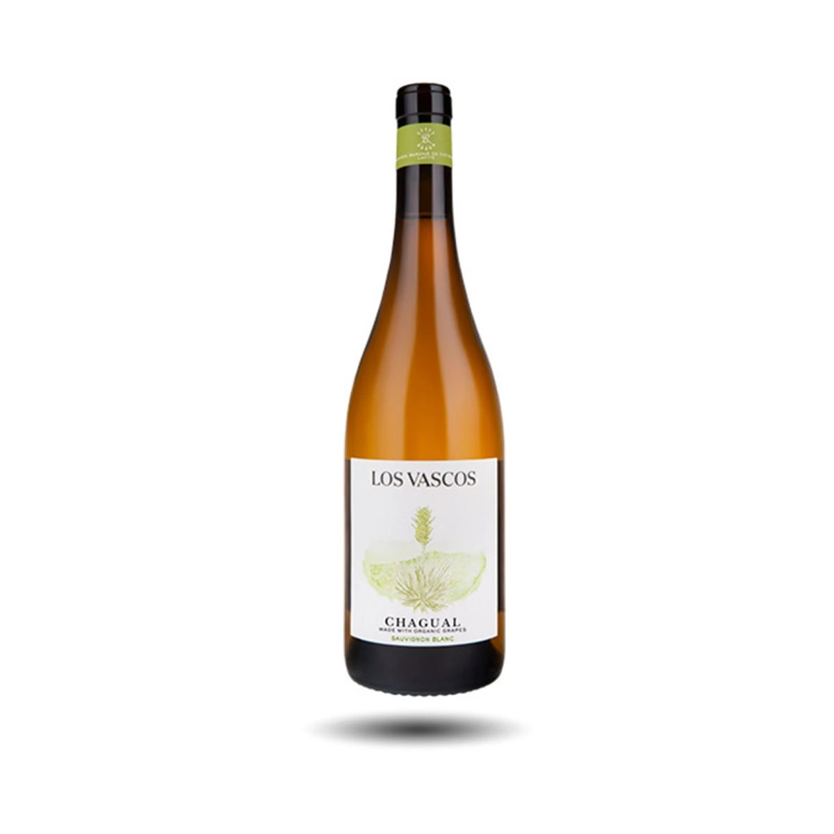 Los Vascos - Chagual, Sauvignon Blanc, 2022 Los Vascos - Chagual, Sauvignon Blanc, 2022